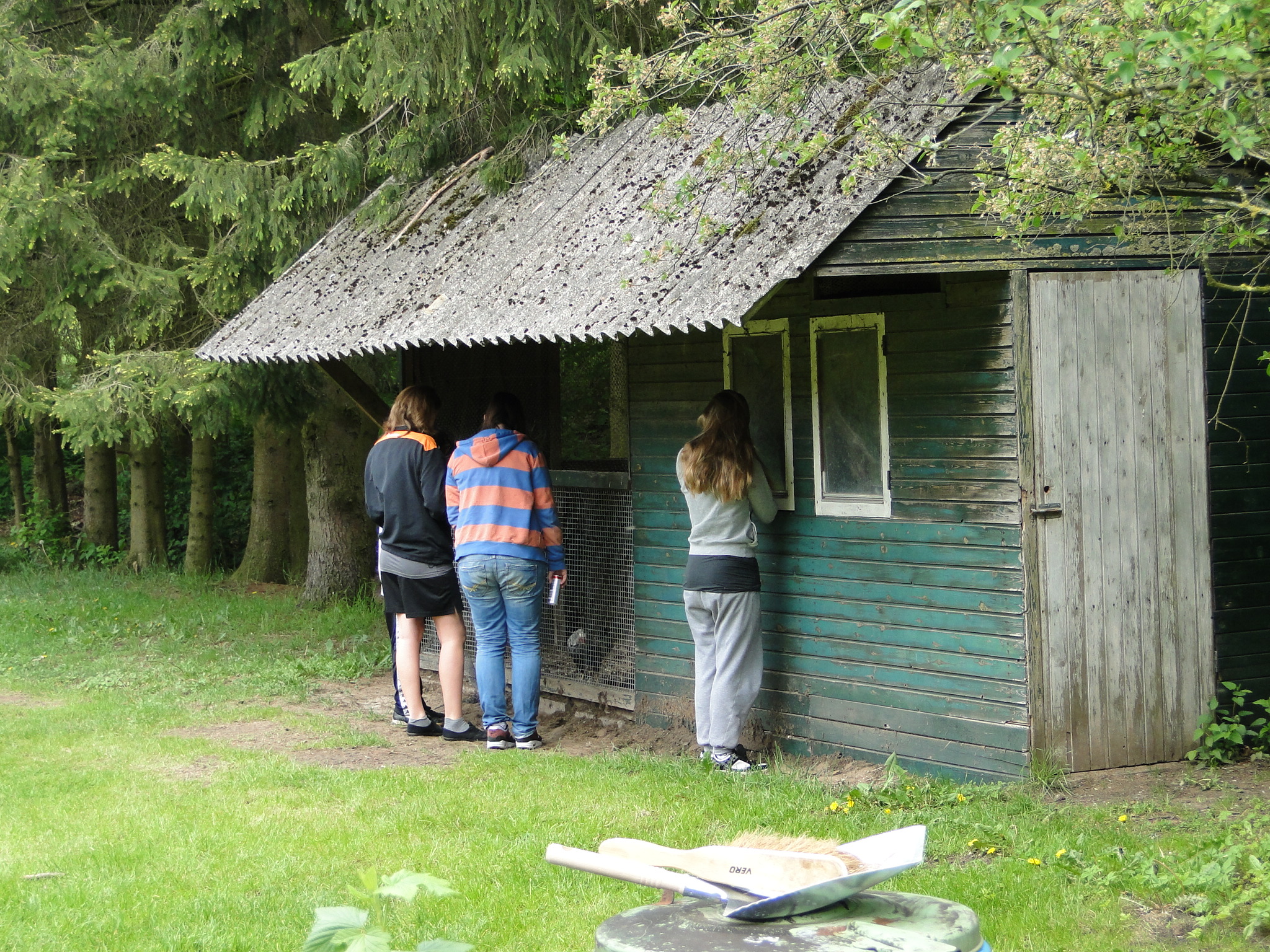 HWK 2010 368.jpg